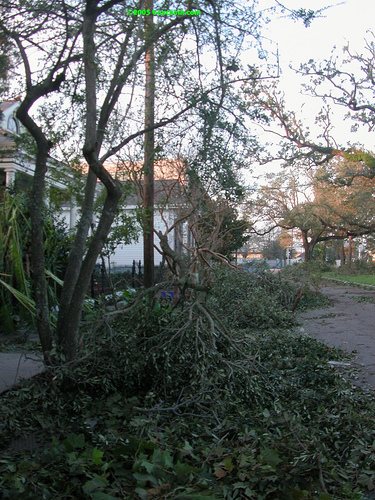 kat house post katrina
