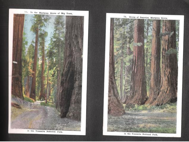 These are postcards my mom picked up at Yosmite in around 1928.