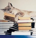 TheLibraryCat-759163