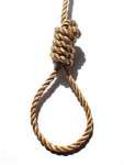 the noose