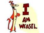 I am a&nbsp;weasel