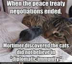 Peace Treaty Broken