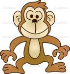 Funny Monkey