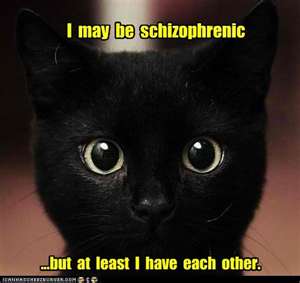 schizophrenic cat