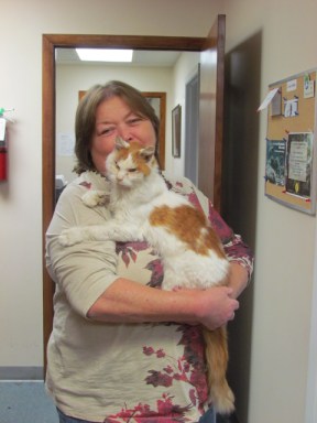 Charlie & me CHARLIE & ME AT THE OFFICE