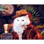 indiana jones cat