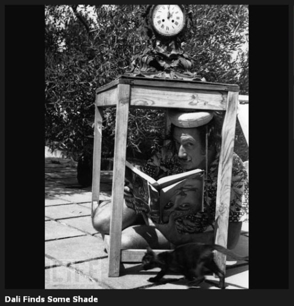 Amazing Portraits of Salvador Dali (13)