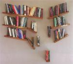 bookshelf