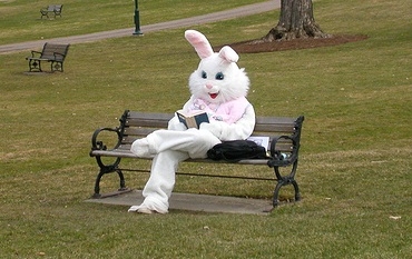 easter-bunny reading