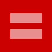 marriage equality bug