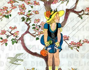 cherry blossoms rain