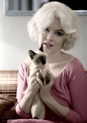 marilyn.cat