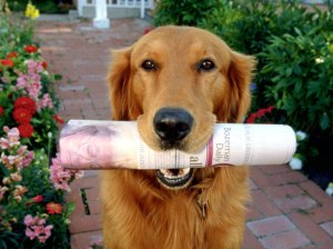 Dog_getting_the_newspaper