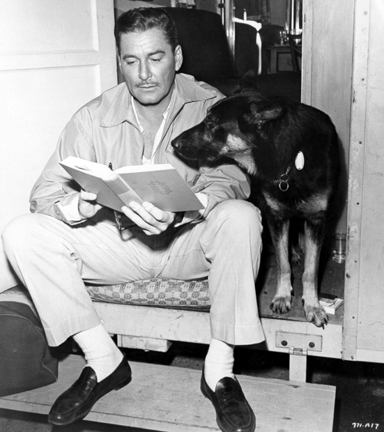 Errol-Flynn-book-dog