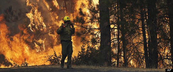 Firefighter A.J. Tevis watches the flames of the Rim Fire near Yosemite National Park, Calif., on Sunday, Aug. 25, 2013. With winds gusting to 50 mph on Sierra mountain ridges and flames jumping from treetop to treetop, hundreds of firefighters have been deployed to protect this and other communities in the path of the Rim Fire raging north of Yosemite National Park. (AP Photo/Jae C. Hong)