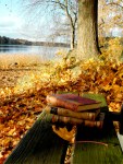 autumn reading1