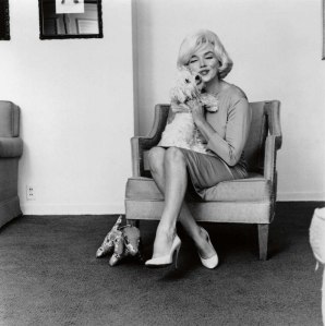 dogs-puppies-hollywood-stars-photos.sw.11.ss07-marilyn-monroe-hollywood-dogs