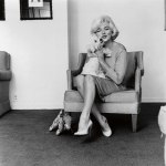 dogs-puppies-hollywood-stars-photos.sw.11.ss07-marilyn-monroe-hollywood-dogs