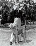 dogs-puppies-hollywood-stars-photos.sw.13.ss09-grace-kelly-hollywood-dogs