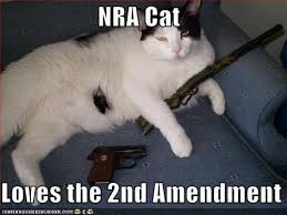 NRA cat