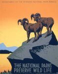wpa_poster_national_parks_bighorn_sheep_art_deco