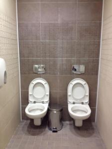 Men's toilets in Sochi