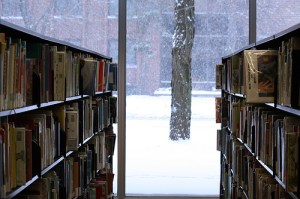 winter2013bookshelves