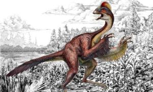 Anzu wyliei  a bird-like dinosaur nicknamed the 'chicken from hell'