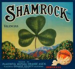 ShamrockOranges
