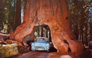 tumblr_mpp8uvftkP1qbyf2jo1_1280