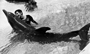 Margaret Lovatt at the Dolphin House on St. Thomas