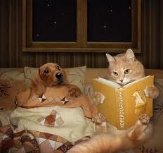 dog and cat reading