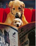 dog reading to&nbsp;puppy