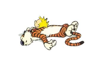 tumblr_m5tge0pM4O1qatsw8