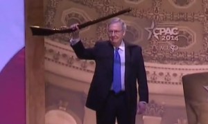 Mitch McConnell gun