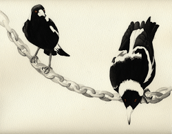 two-magpies