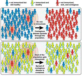 Herd Immunity