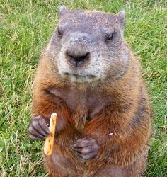 5e4f9f9355b3c1d87c93137593aa5012