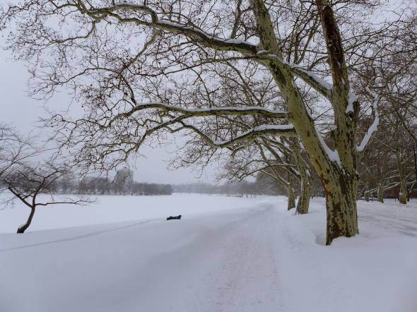 Scene along the Charles River in Cambridge