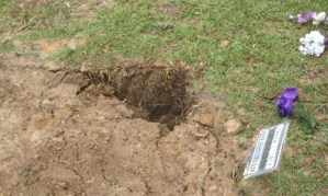 Lennon Lacy's grave after it was desecrated.