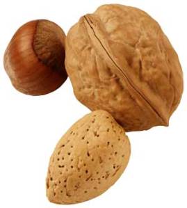 walnut-300