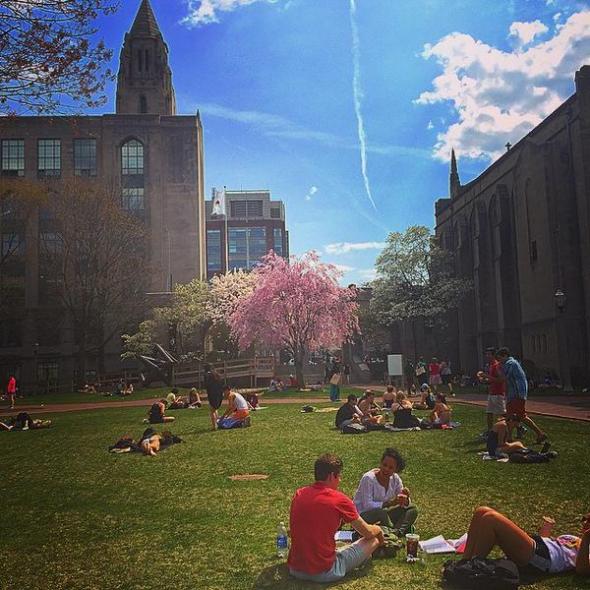 Students study for finals on "BU Beach," May 6, 2015
