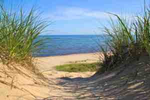Another view of the Indiana Dunes.