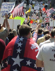 tea-party-confederate-flag