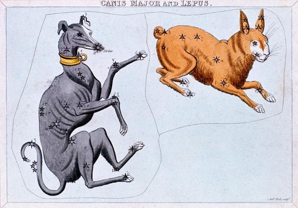 The ancient Greeks thought of the constellation Canis Major as a dog chasing Lepus, the hare. The star Sirius is the dog’s nose; the Greeks called it the “dog star.”  (National Geographic)
