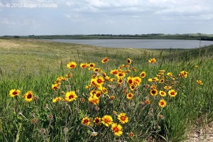 North Dakota Post-glacial Landscape