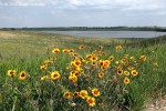 North Dakota Post-glacial&nbsp;Landscape