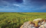 central-great-plains-grassla-1