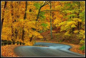 browncountyfallcolors