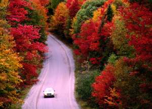 driving-through-spectacular-new-england-fall-foliage_cs